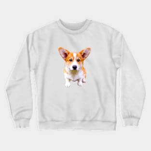 Corgi Puppy Sitting Red and White Pembroke Welsh Corgi Crewneck Sweatshirt